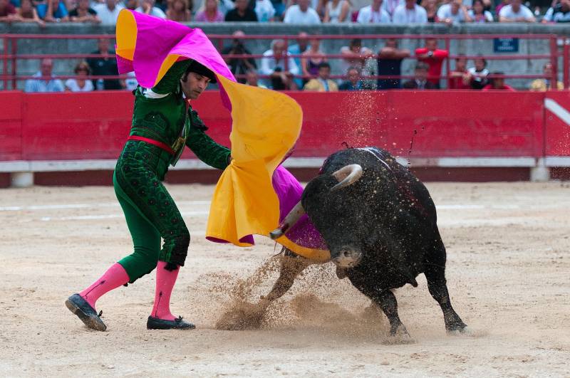 España plantea prohibir la asistencia de menores a las corridas de toros mientras crece el debate sobre la tradición
