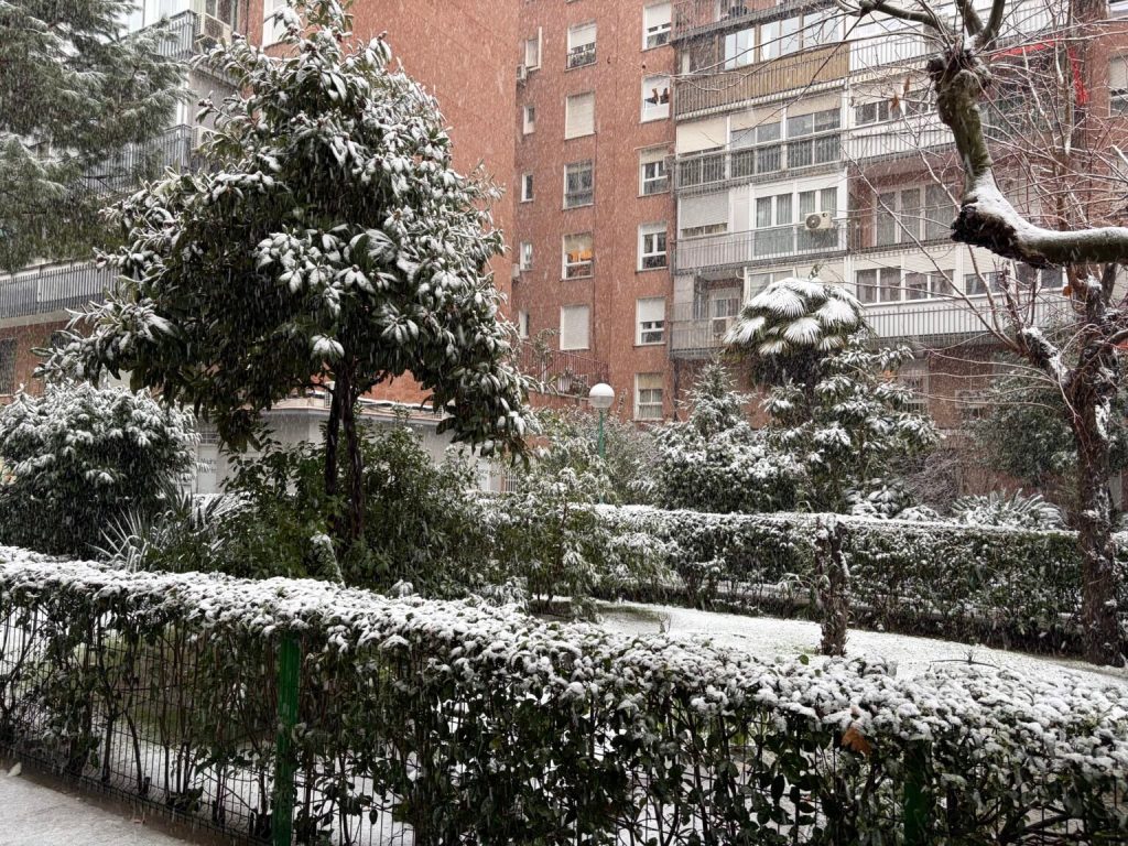 Fuerte nevada paraliza Madrid mientras la AEMET emite alertas en toda la ciudad