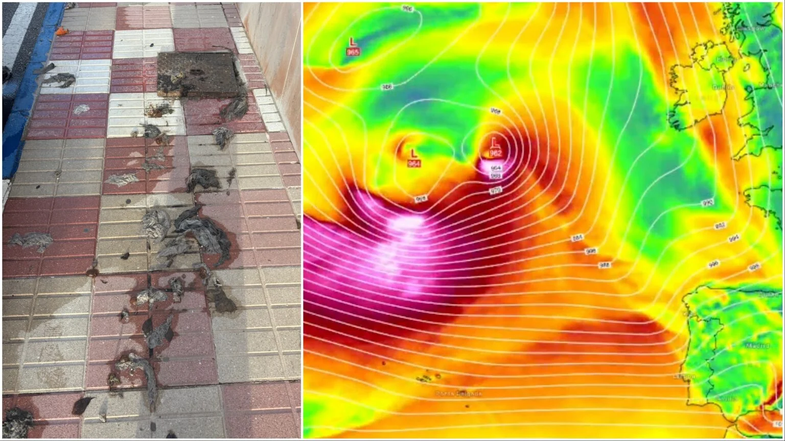 Expatriados indignados por lluvias que provocan vertido de aguas residuales en la calle