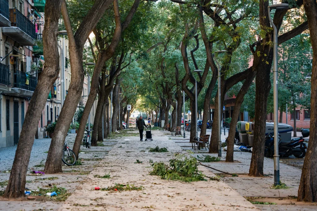 Muere un hombre de 92 años tras ser alcanzado por un árbol en Córdoba durante un temporal