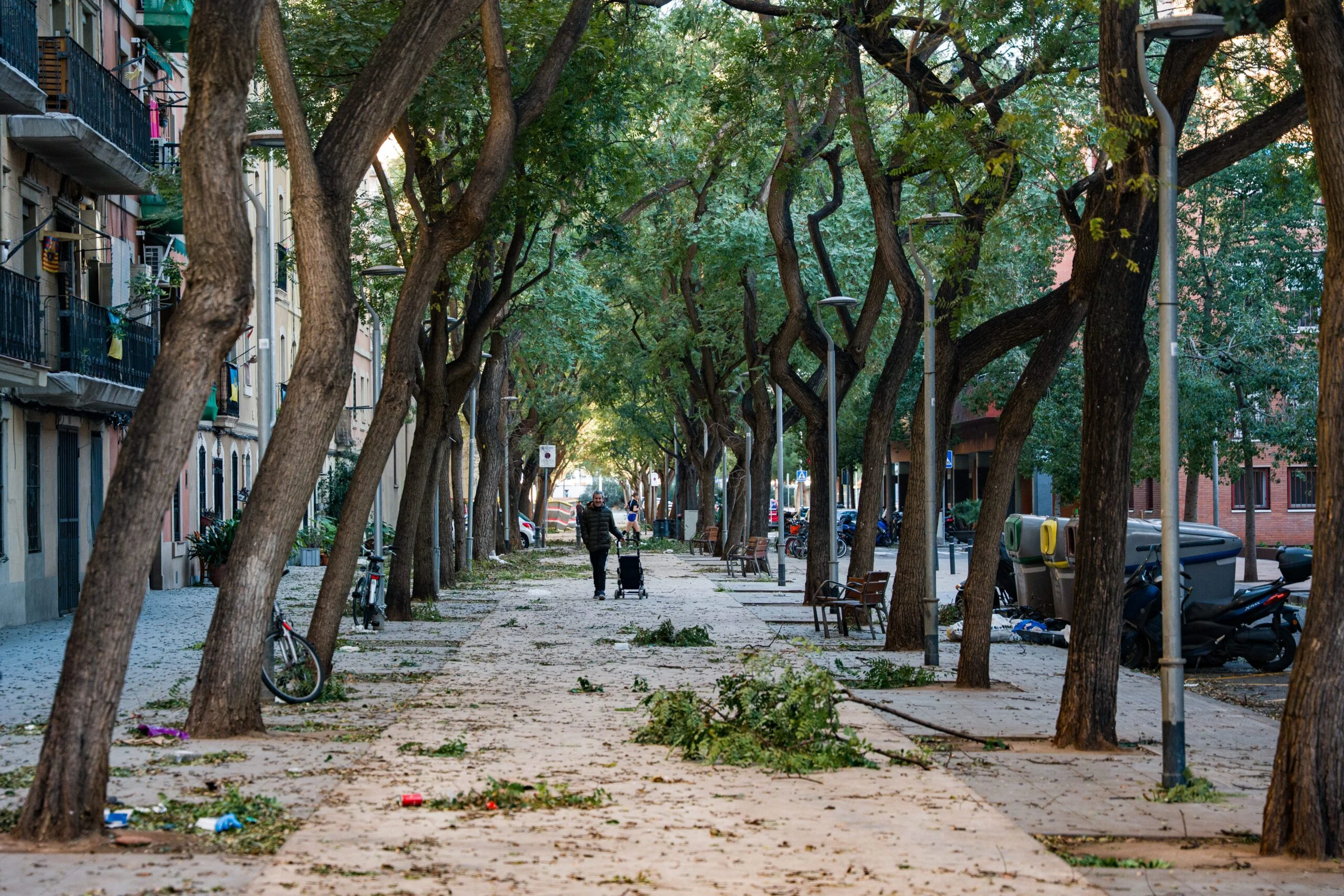 Muere un hombre de 92 años tras ser alcanzado por un árbol en Córdoba durante un temporal